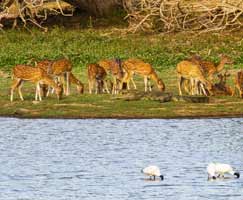 Karnataka Tourism Package